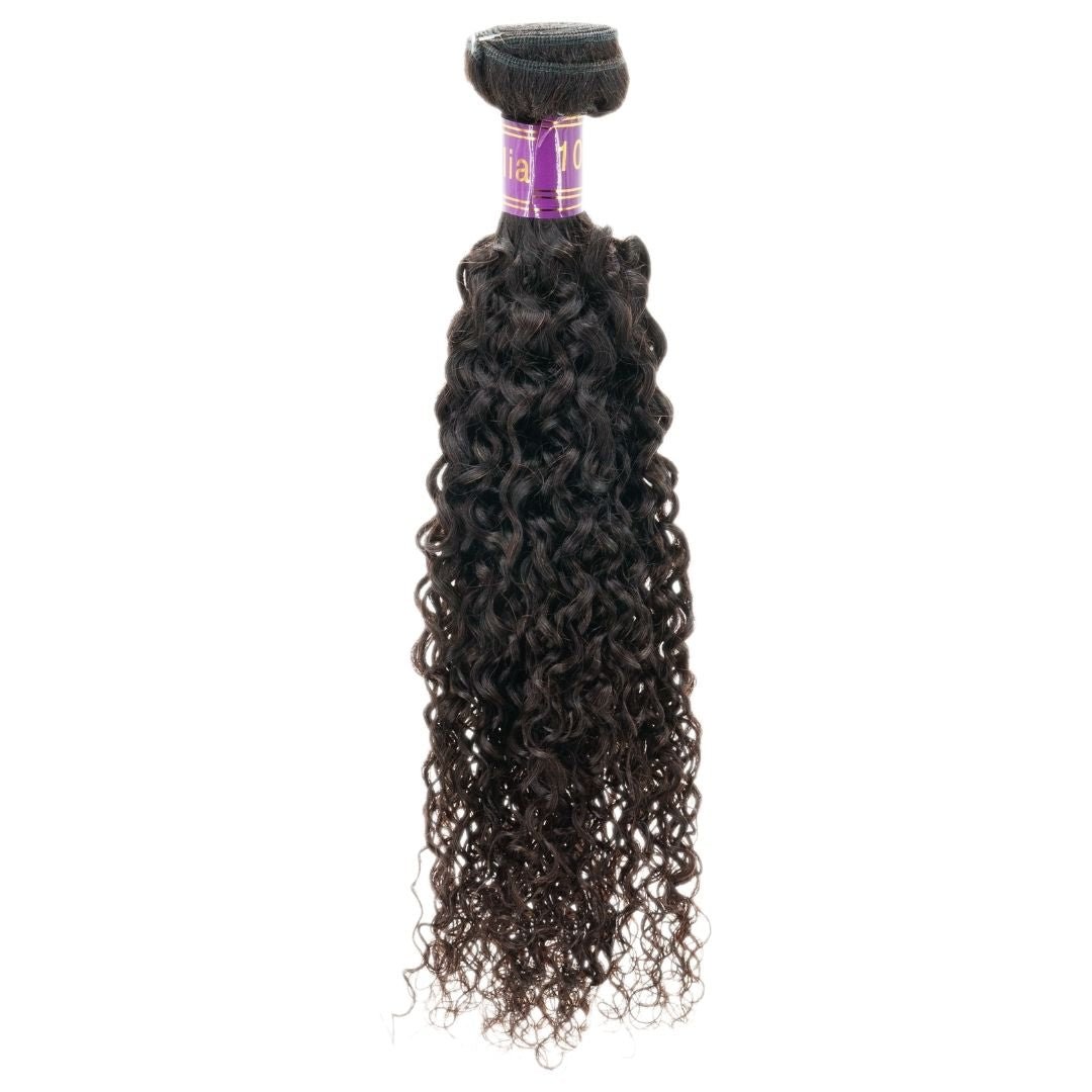 Brazilian Kinky Curly - SHREYABEAUTYSTORE